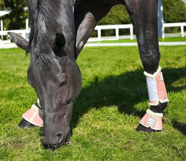 Why Do We Wear Bell Boots