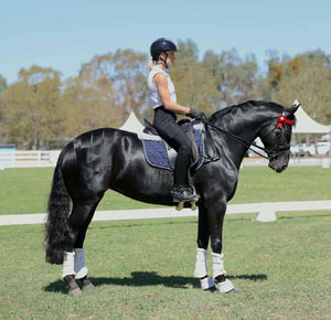 Navy Merino Sheepskin Saddle Pad