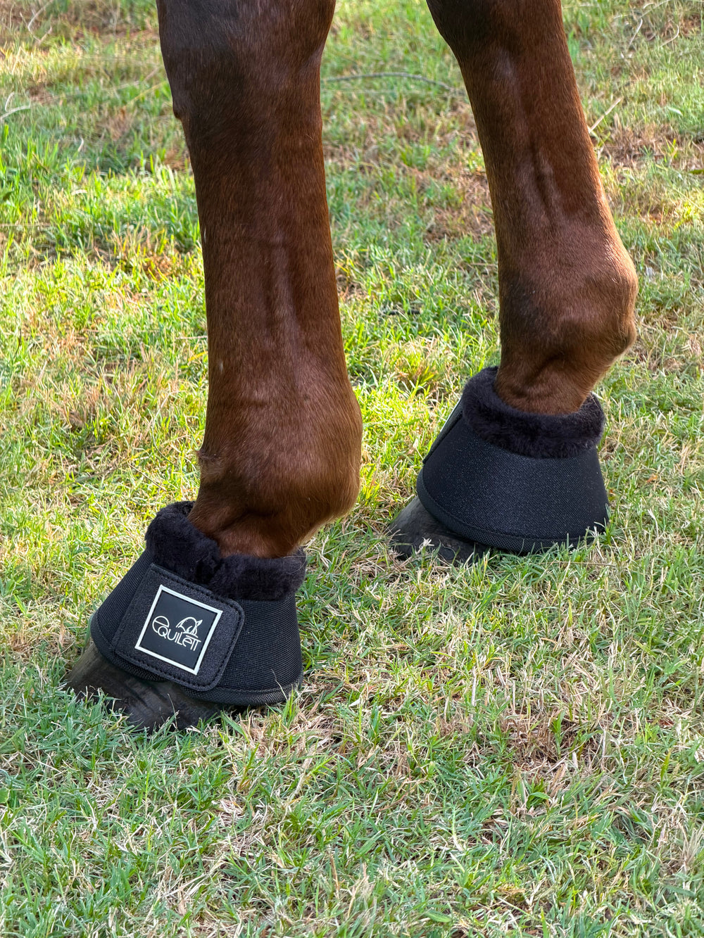 Black Glitter Mesh Bell Boots