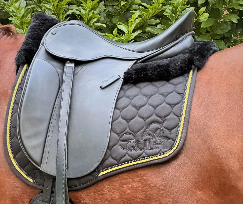 Black with Gold piping Merino Sheepskin Saddle Pad